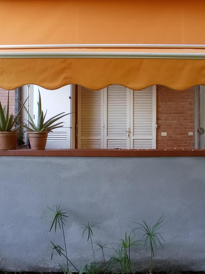 A Casa Di Ale Διαμέρισμα Castiglione della Pescaia Εξωτερικό φωτογραφία